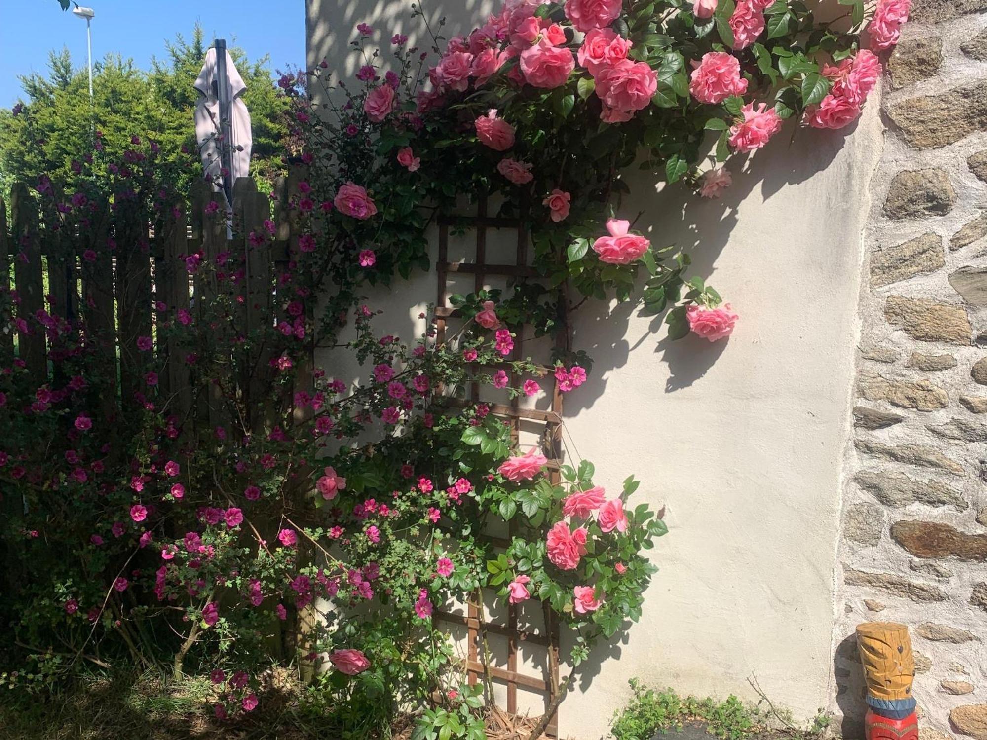 Charmante Maison Renovee Avec Jardin, Au Coeur Des Marais Salants, Proche De Et La Baule - Fr-1-306-1214 Guerande